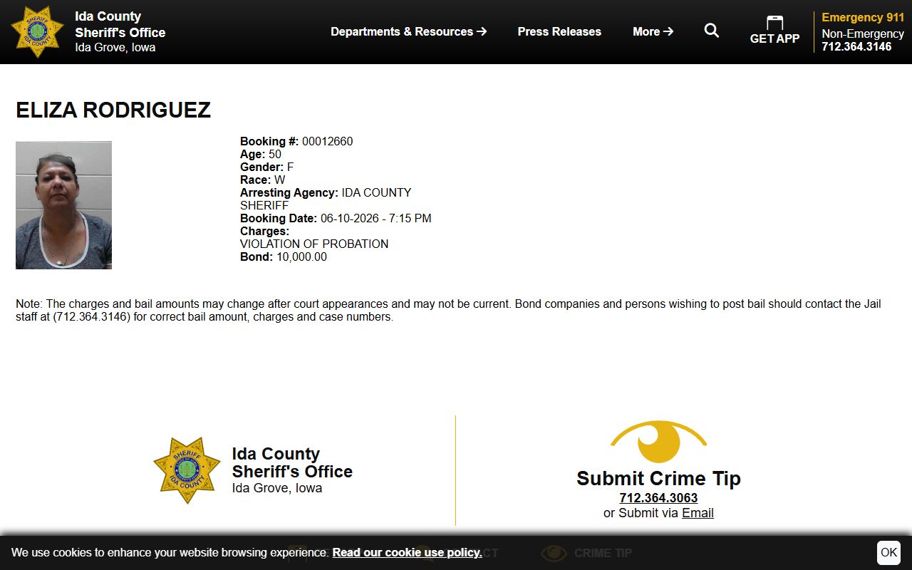 Ida County inmate record sample profile with booking photo and bond fields